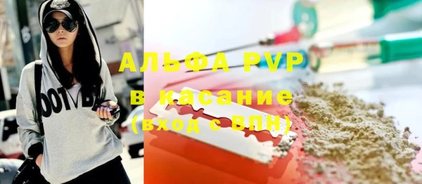 шишки Арсеньев