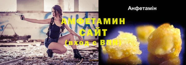 сатива Аркадак