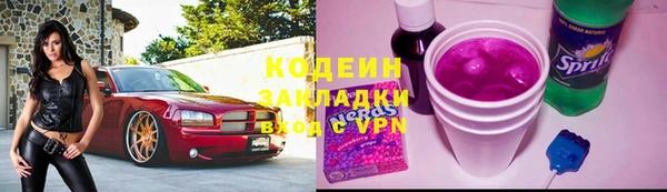 сатива Аркадак