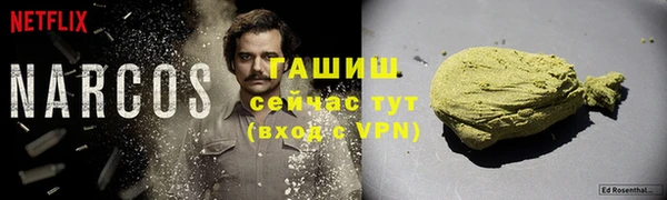 сатива Аркадак