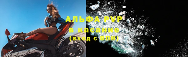 шишки Арсеньев