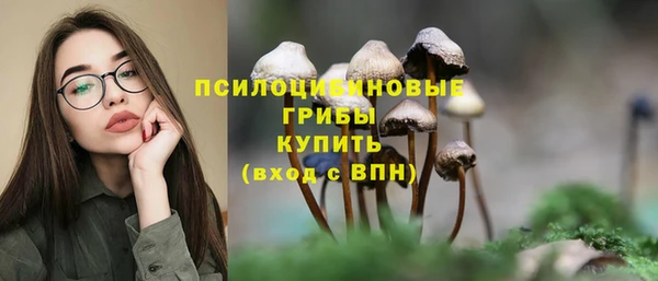 шишки Арсеньев