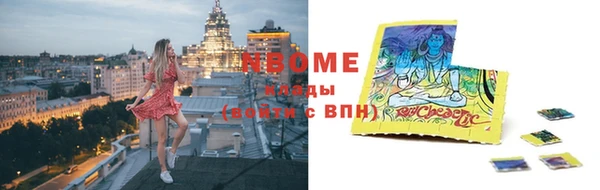 шишки Арсеньев