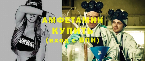 сатива Аркадак