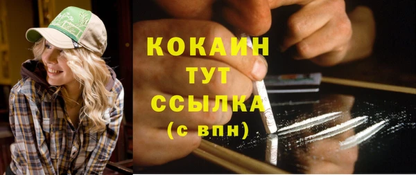 шишки Арсеньев