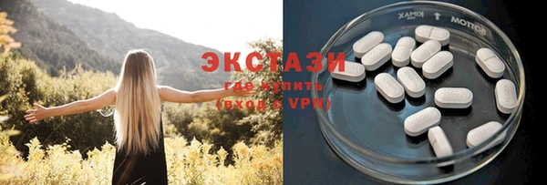 сатива Аркадак